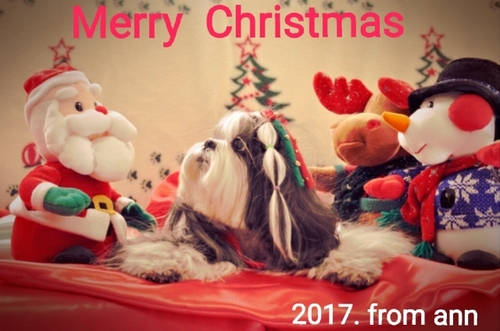 2017-12-17_14.53.34.jpg