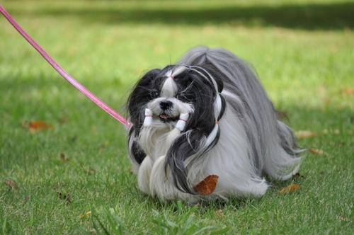 DSC_0001.jpg