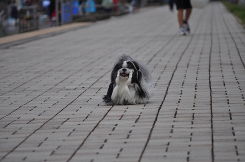 DSC_0015.jpg