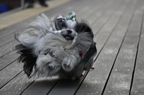 DSC_0018.jpg