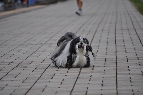 DSC_0019.jpg
