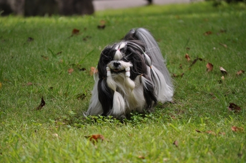 DSC_0020.jpg