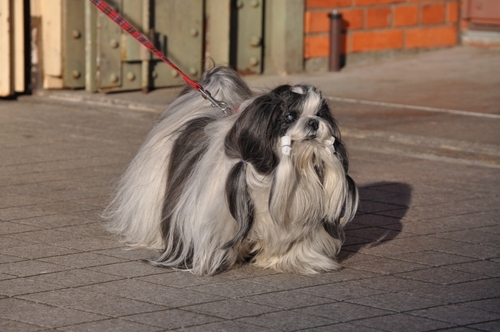 DSC_0027.jpg