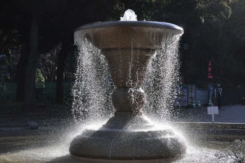 DSC_0028.jpg