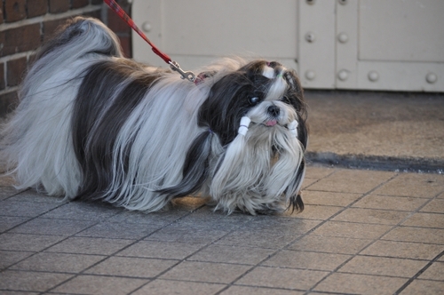 DSC_0028.jpg
