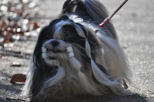 DSC_0042.jpg