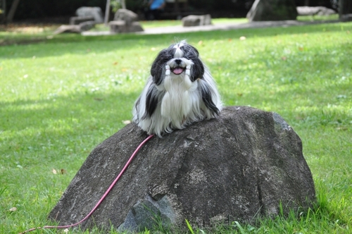 DSC_0044.jpg