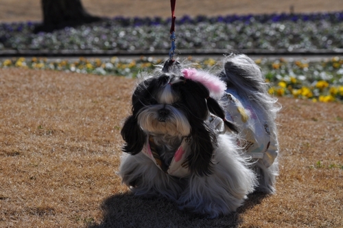DSC_0044.jpg