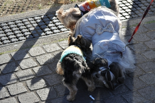 DSC_0045.jpg