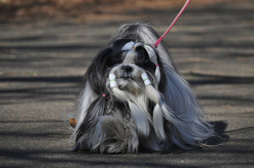 DSC_0048.jpg