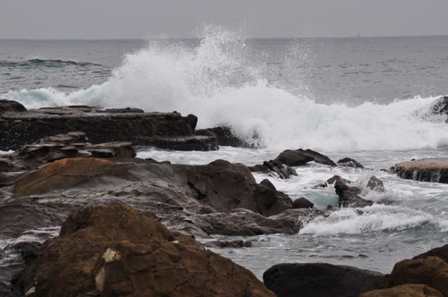 DSC_0049.jpg