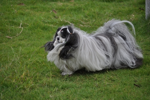 DSC_0079.jpg