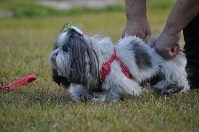 DSC_0095.jpg