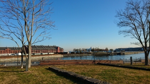 DSC_0111.jpg