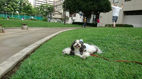 DSC_0196.jpg