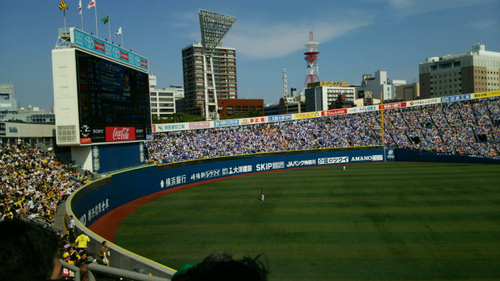 DSC_0362.jpg