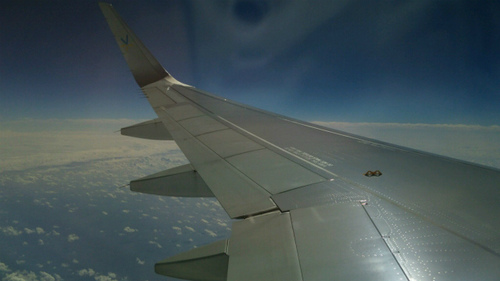 DSC_0404.jpg