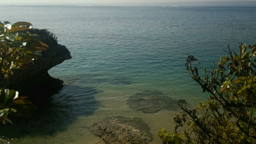DSC_0415.jpg