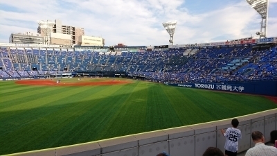 DSC_0454.jpg
