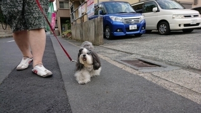 DSC_0770.jpg