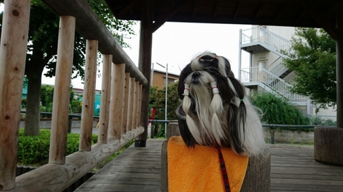 DSC_1023.jpg