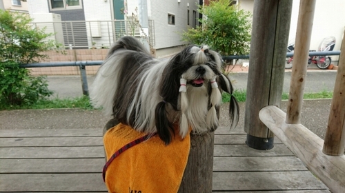 DSC_1031.jpg