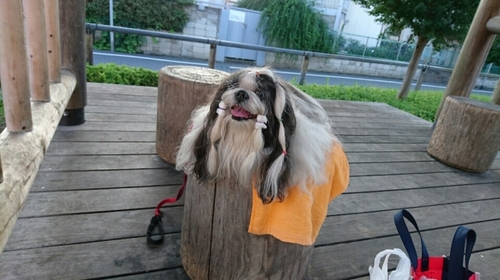 DSC_1176.jpg