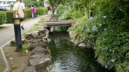 DSC_1914.jpg