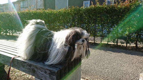 DSC_3170.jpg