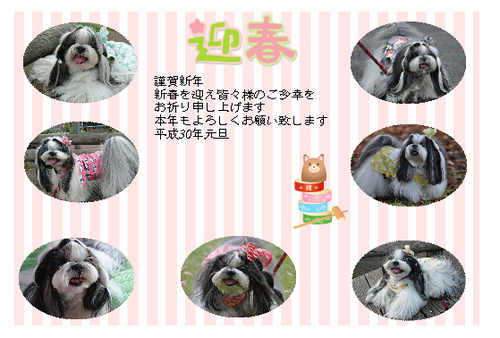 うちの2.jpg