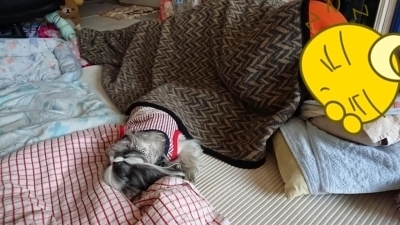 添い寝.jpg