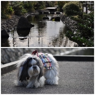 遊歩道.jpg