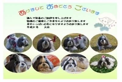 31年うち5.jpg