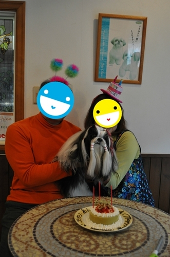 an1.jpg