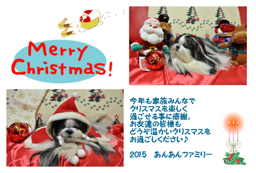 2015クリスマスカードブログ用.jpg