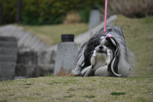 DSC_0008.jpg