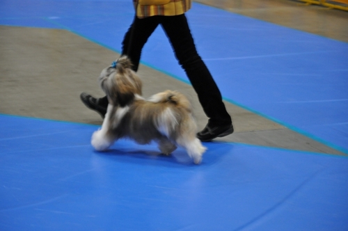 DSC_0009.jpg