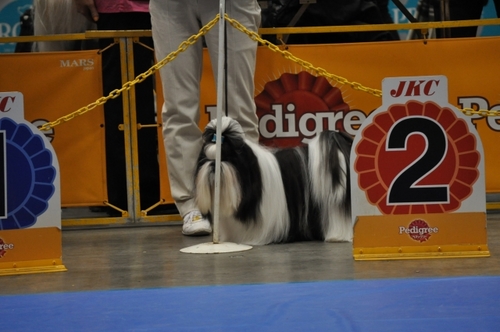DSC_0012.jpg