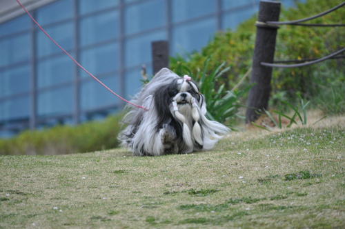 DSC_0020.jpg