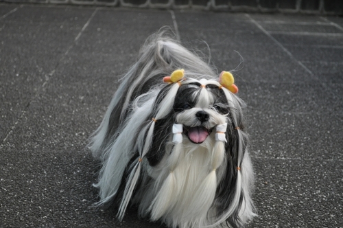 DSC_0020.jpg