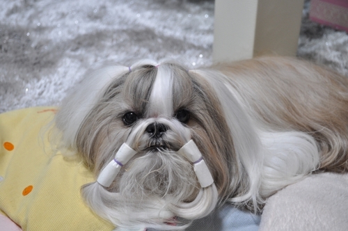 DSC_0021.jpg