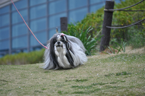 DSC_0022.jpg