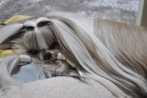 DSC_0023.jpg