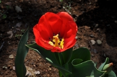 DSC_0024.jpg