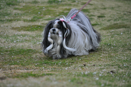 DSC_0027.jpg