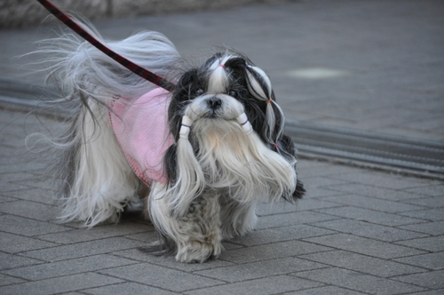 DSC_0028.jpg