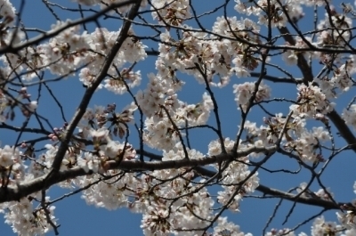 DSC_0032.jpg