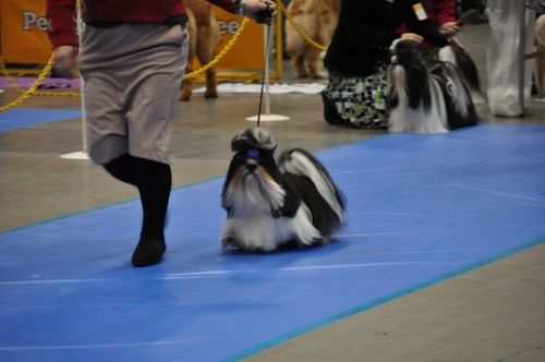 DSC_0034.jpg
