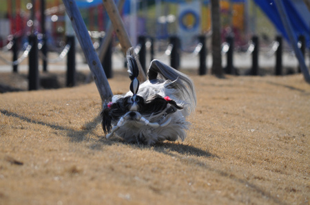 DSC_0034.jpg