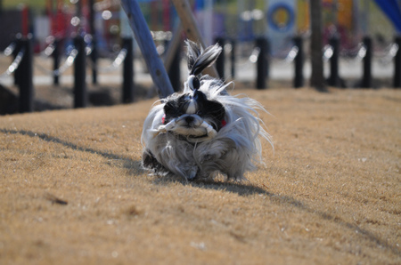DSC_0035.jpg